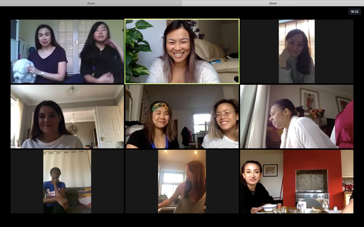 Alice meeting an online group on Zoom