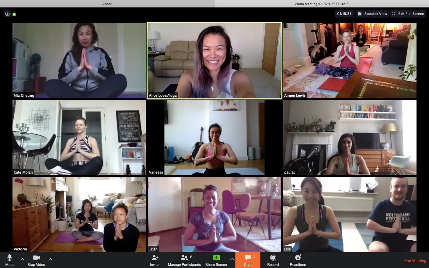 Alice leading an online yoga class with students visible in a Zoom grid
